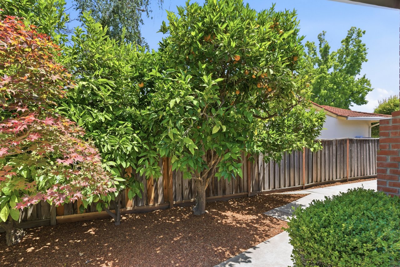 831 Mangrove Avenue