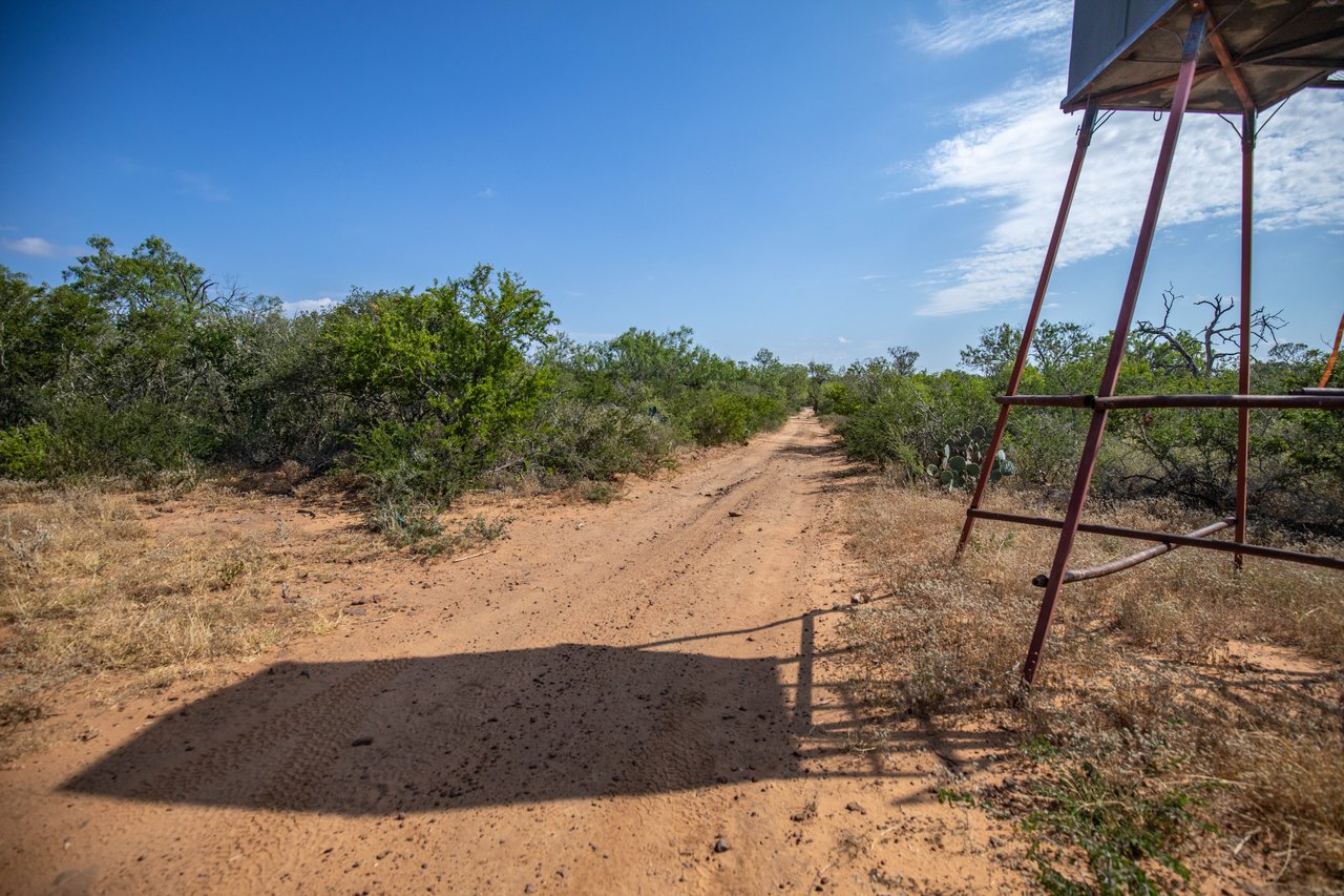 Oaks, Wildlife, & the Quiet of the Countryside | 26.99± Acres | Poteet, TX