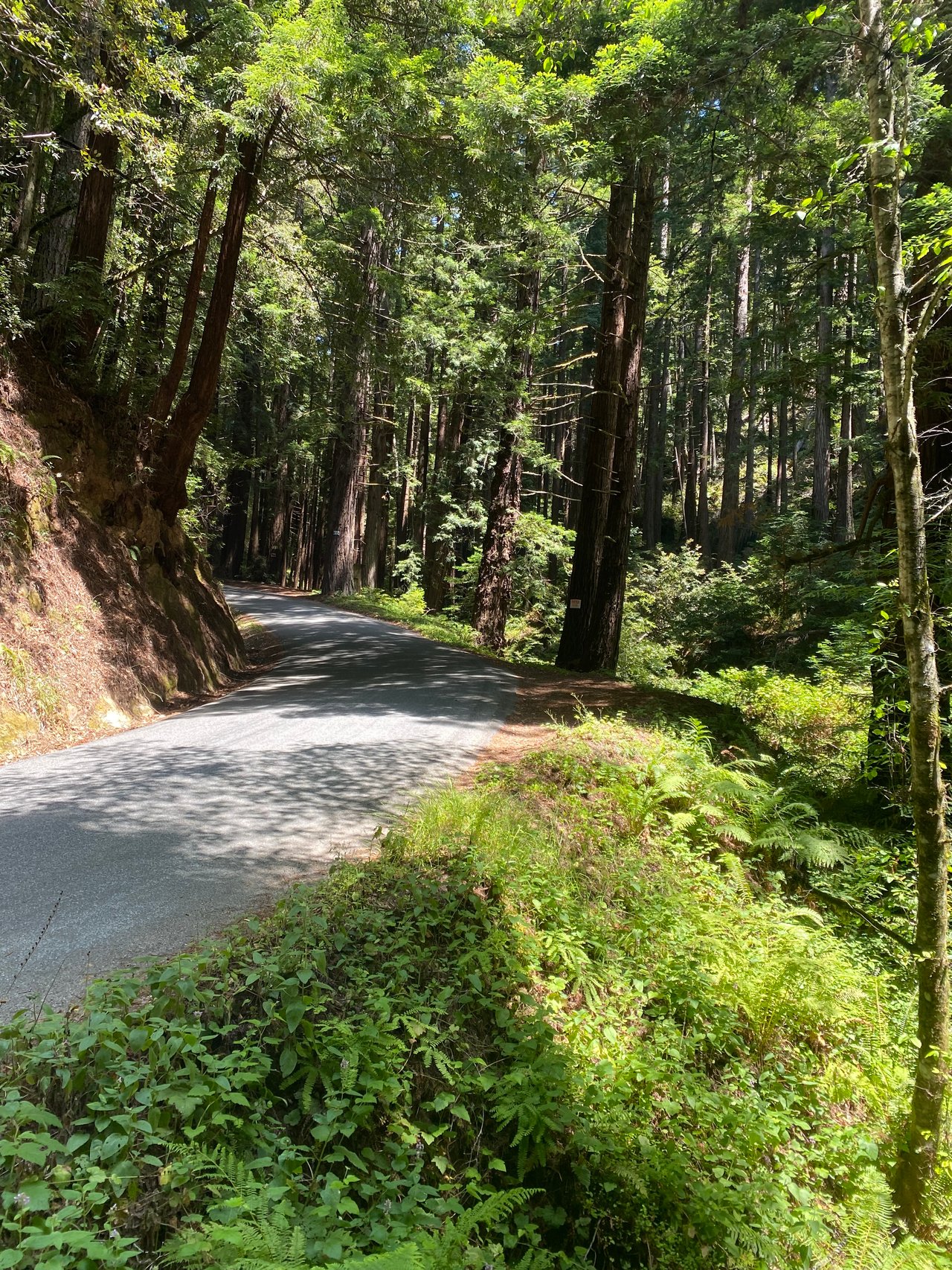 Cycling the Coastside - Insider Tips