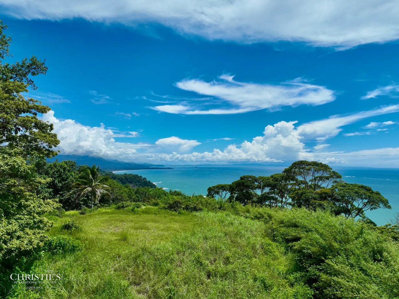 Whale’s Tail & Ocean View Lot 5.3-Acre