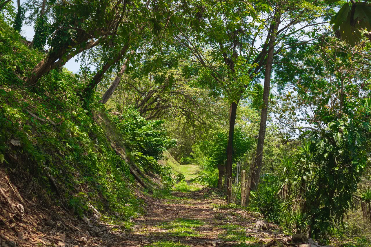Prime Jungle Retreat with Sunset Views – Build Your Dream