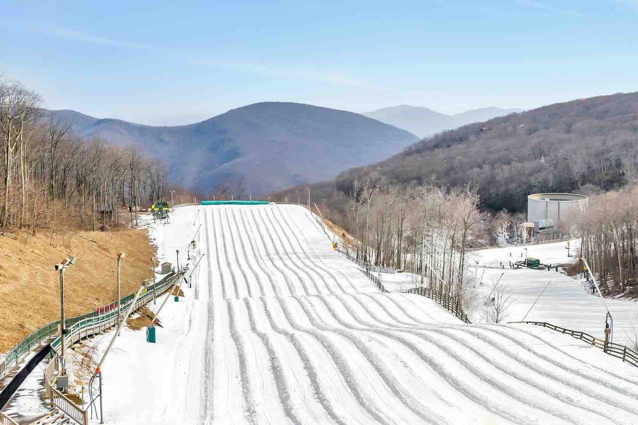 Wintergreen