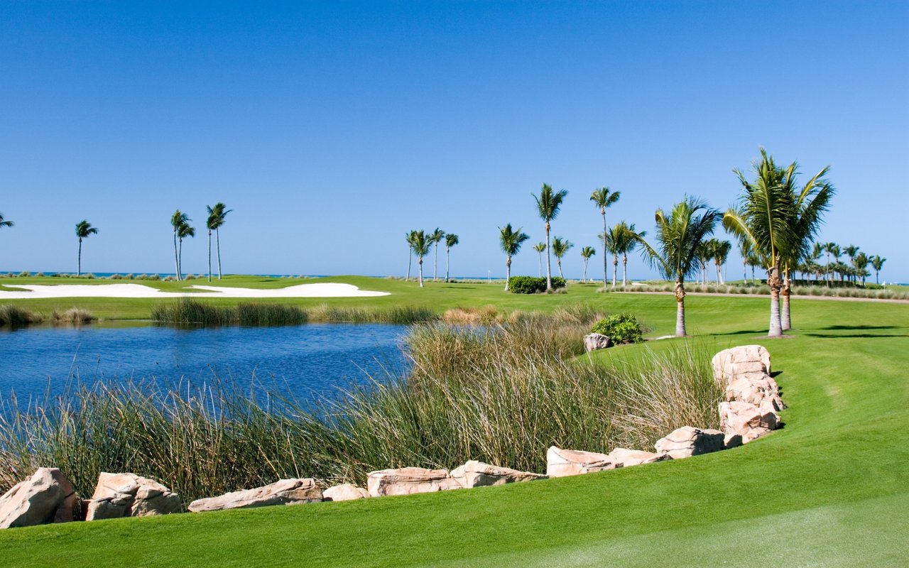 Palmetto Dunes / Shelter Cove Harbour