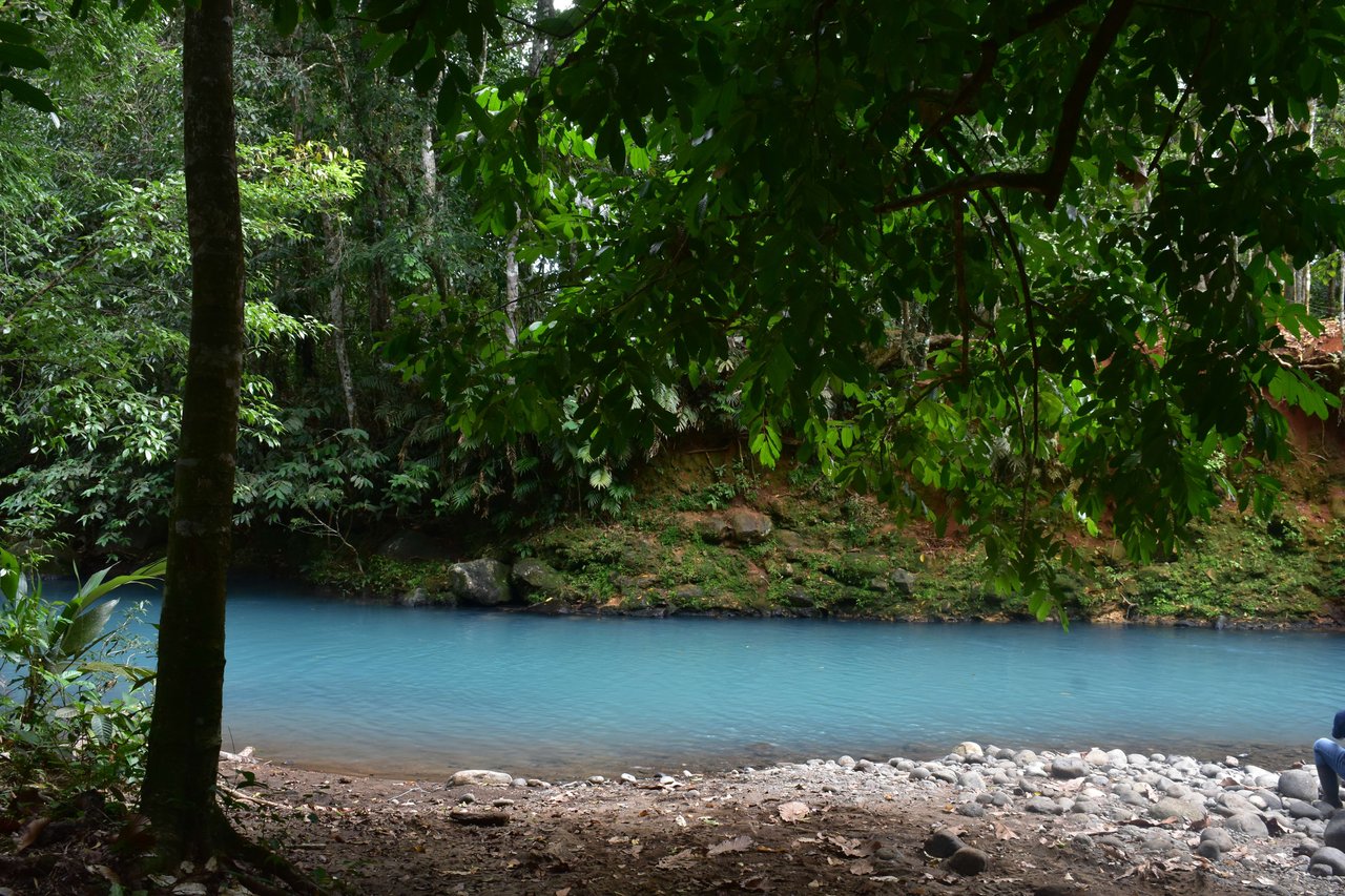 Villa Celeste Land | Embrace a unique 9-hectare Property along Rio Celeste