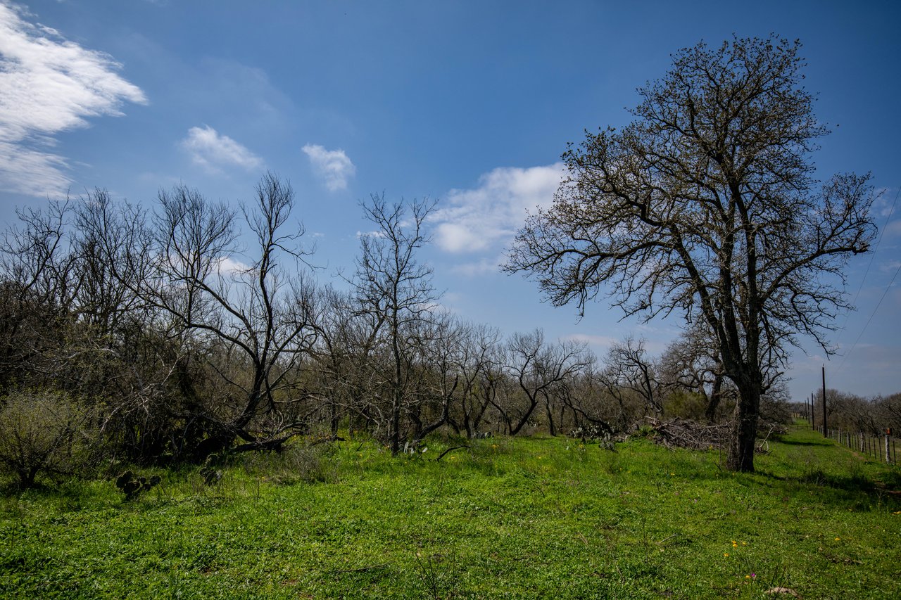 Dry Hollow Creek Ranch | 21.96± Acres | Bexar County