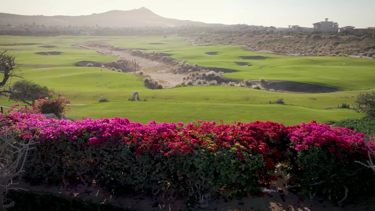 The Legacy Club Cabo