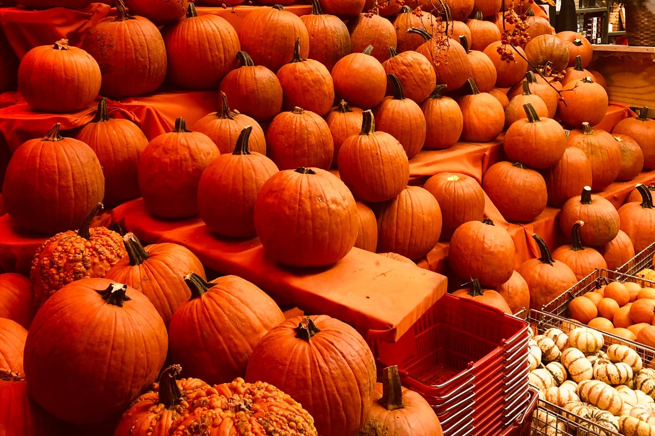 Autumn in Austin