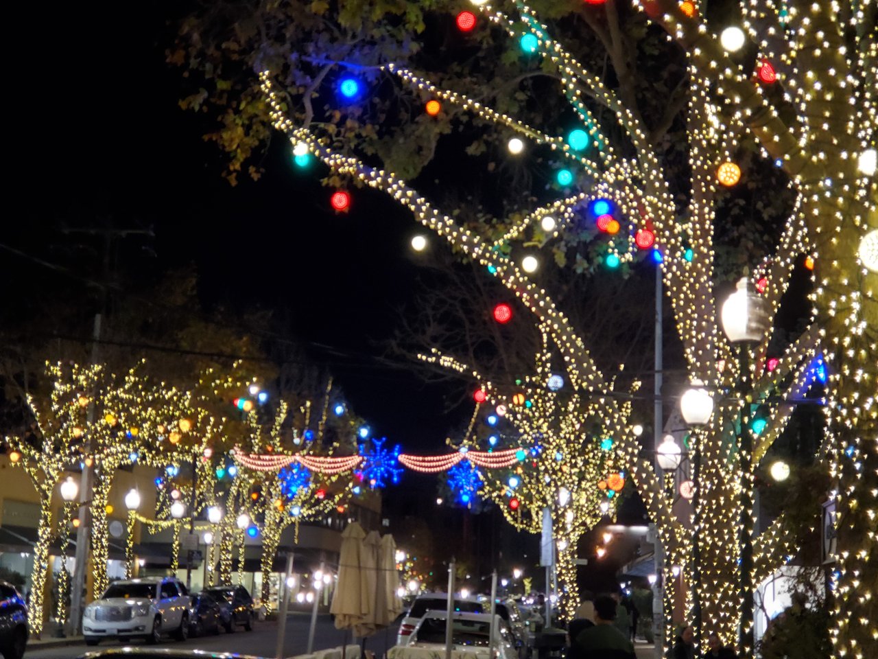 City street at night with holiday lights wrapped around trees and colorful bulbs overhead.