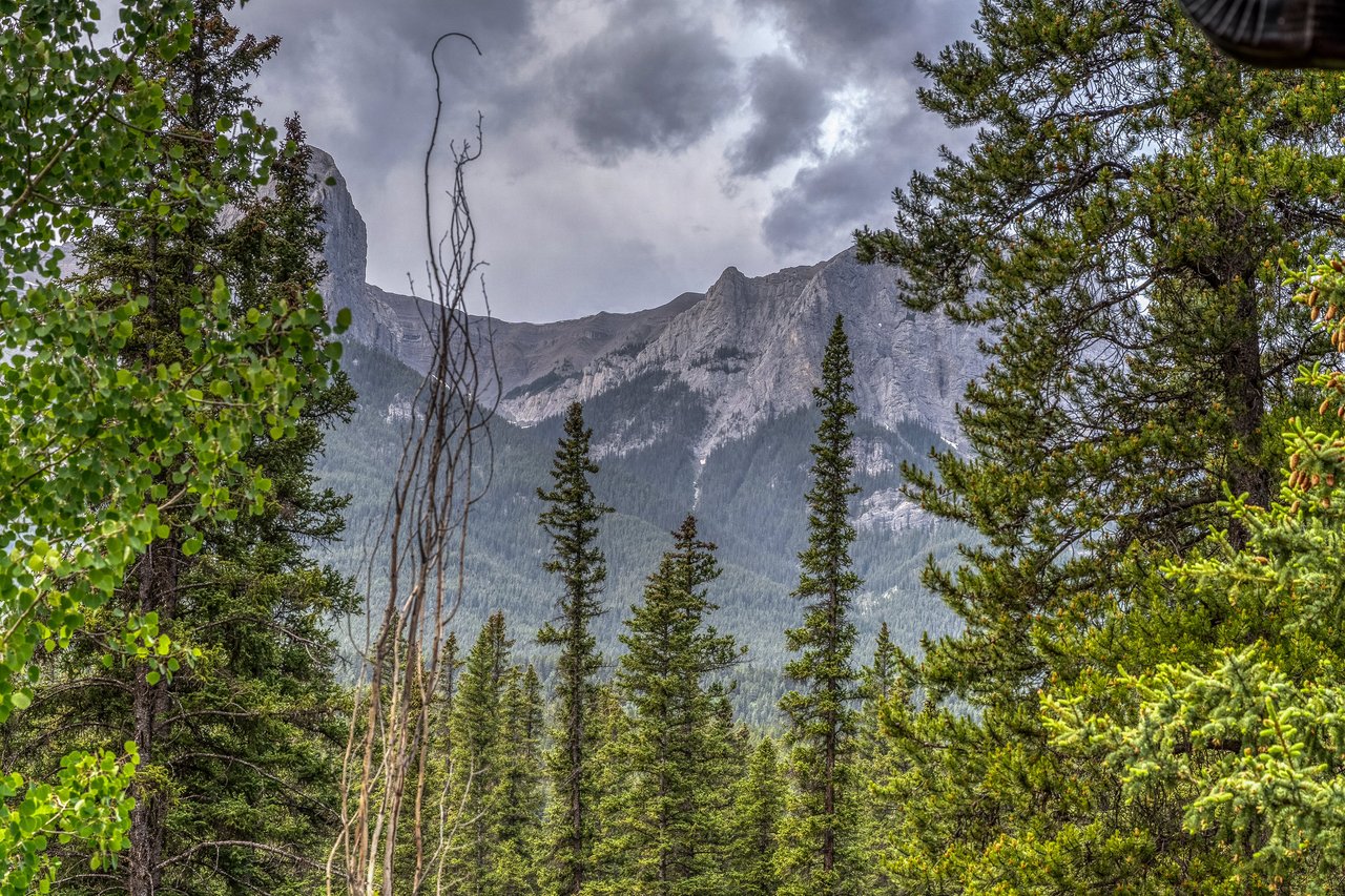 Private Mountain Retreat on Nearly Half an Acre