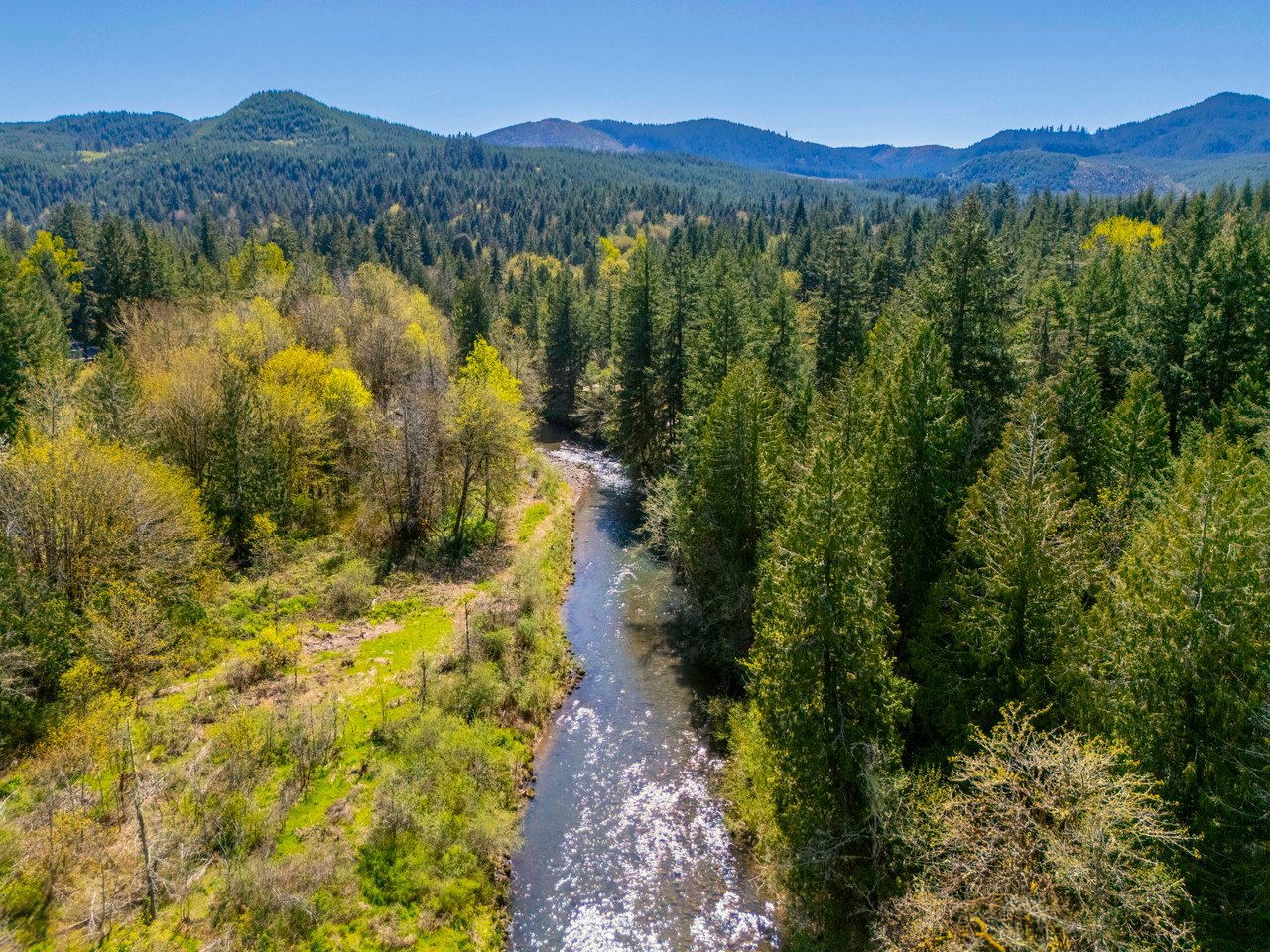 Mosby Creek Farm & Forest