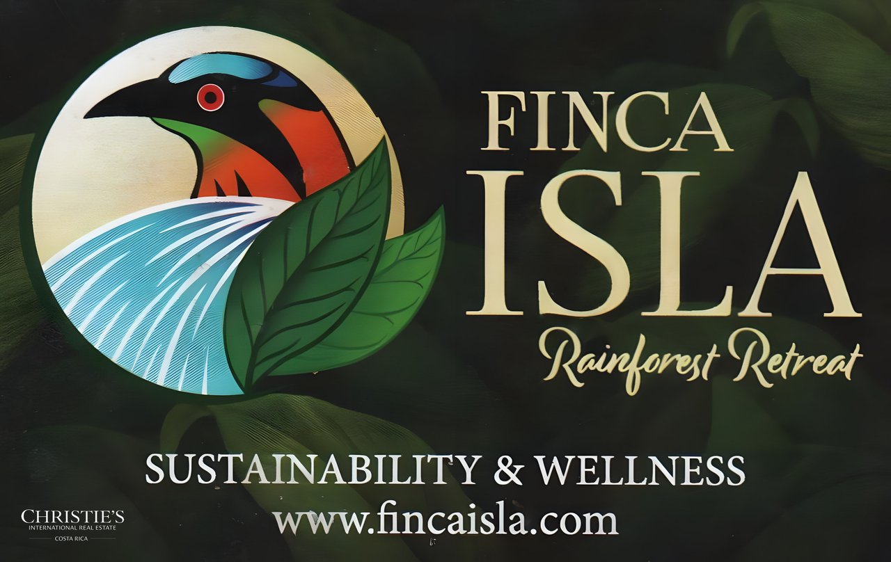 Finca Isla Rainforest Retreat – A Rare Income-Producing Paradise