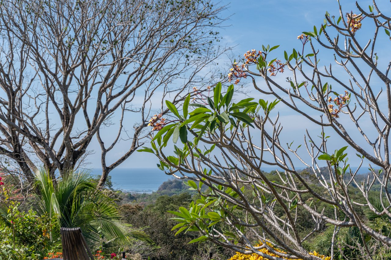 Villa Martina / Samara, Guanacaste