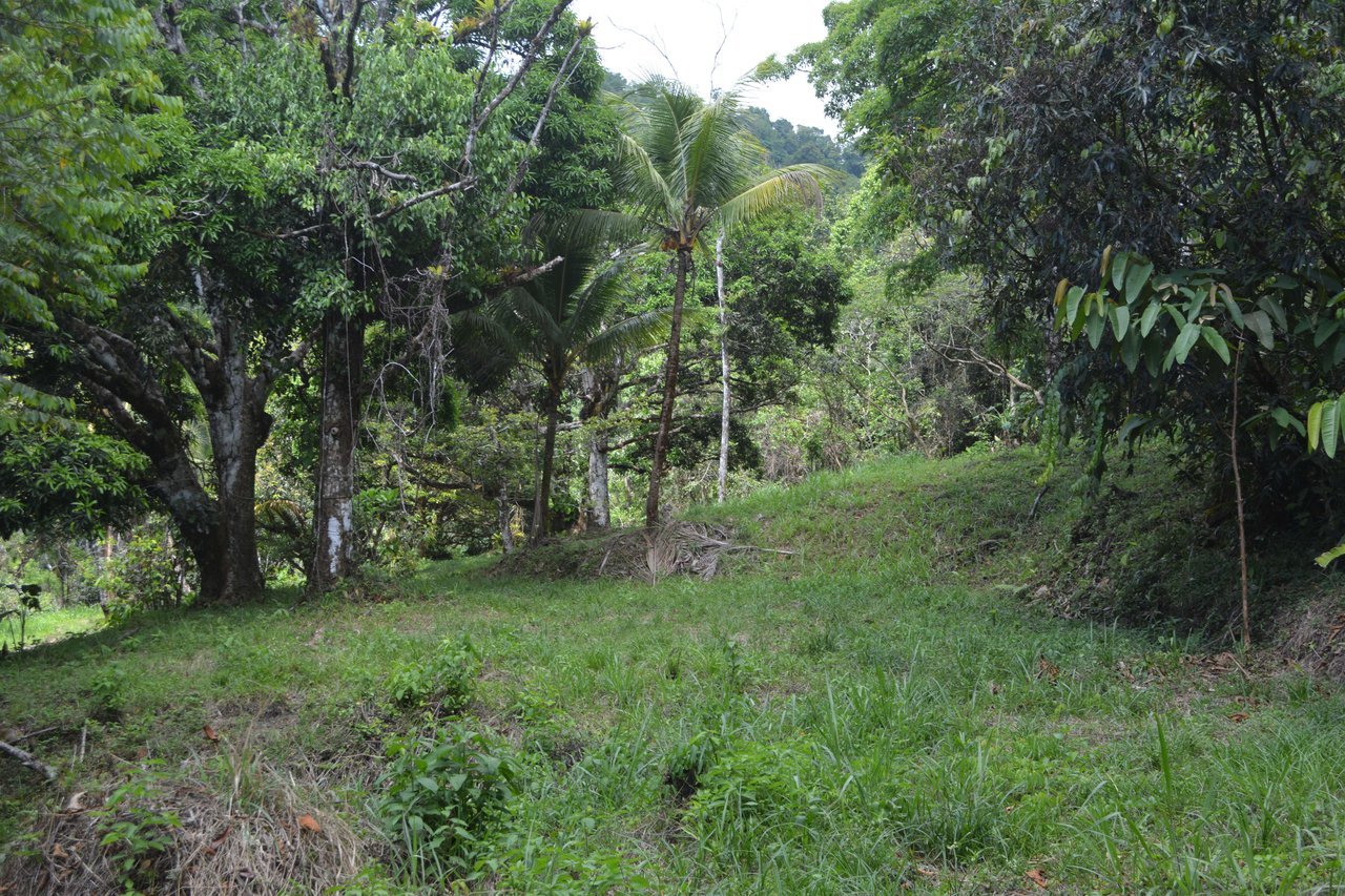 42 Acres With Waterfalls, Ocean Views & Multiple Building Sites Sliencio Ariba