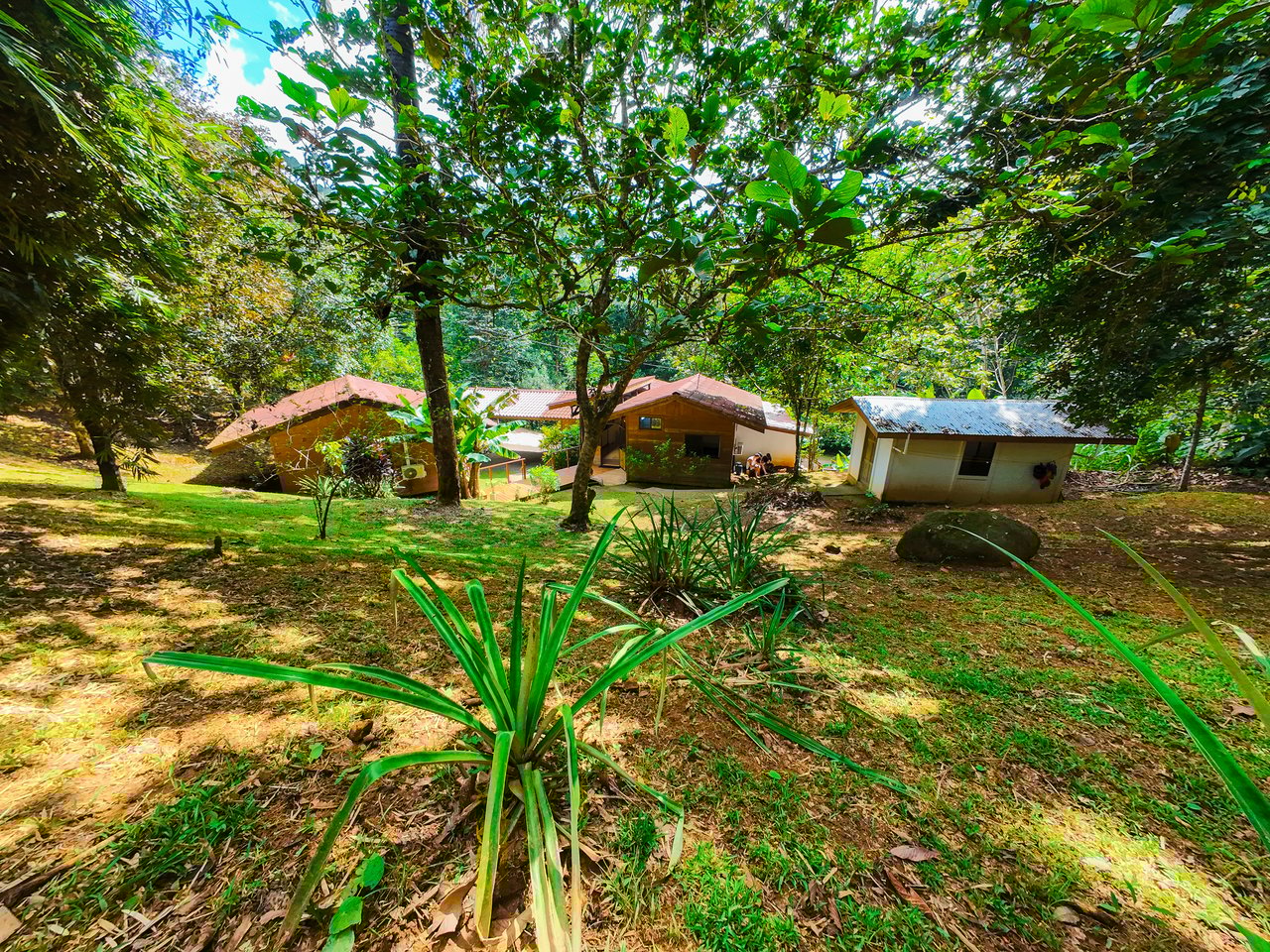 Serene Jungle Home + Guest Cabin on 3 Acres and River
