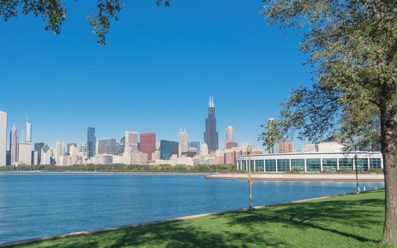 Chicago skyline with Willis Tower across Lake Michigan, framed by trees and a grassy waterfront park.