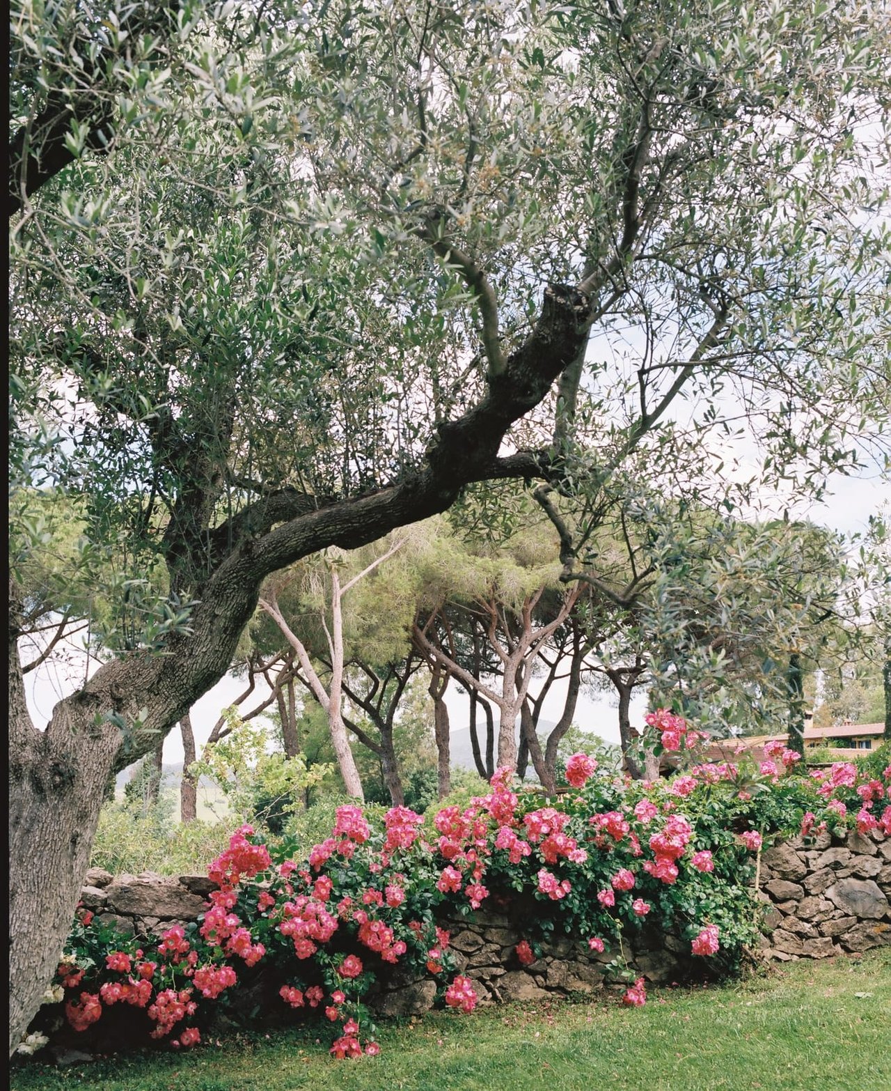 Villa Sofia Tuscany