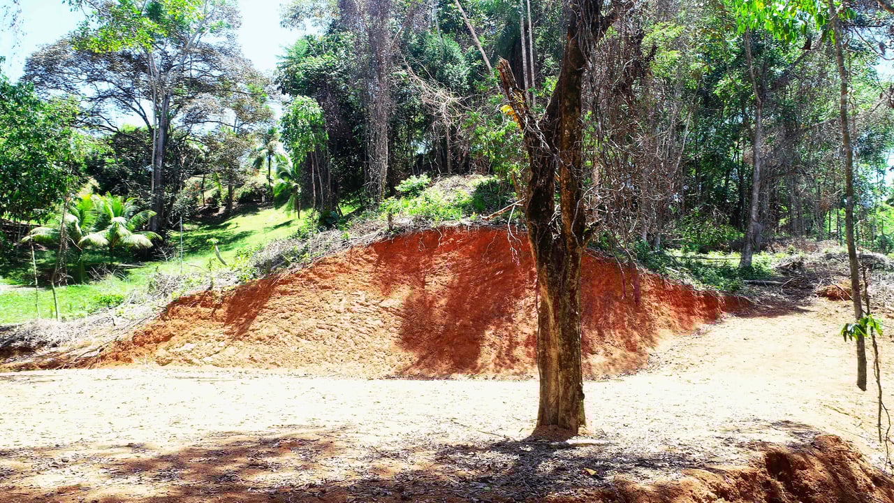 Over One Acre Attractive Lot on the Popular PEREZOSO Road.