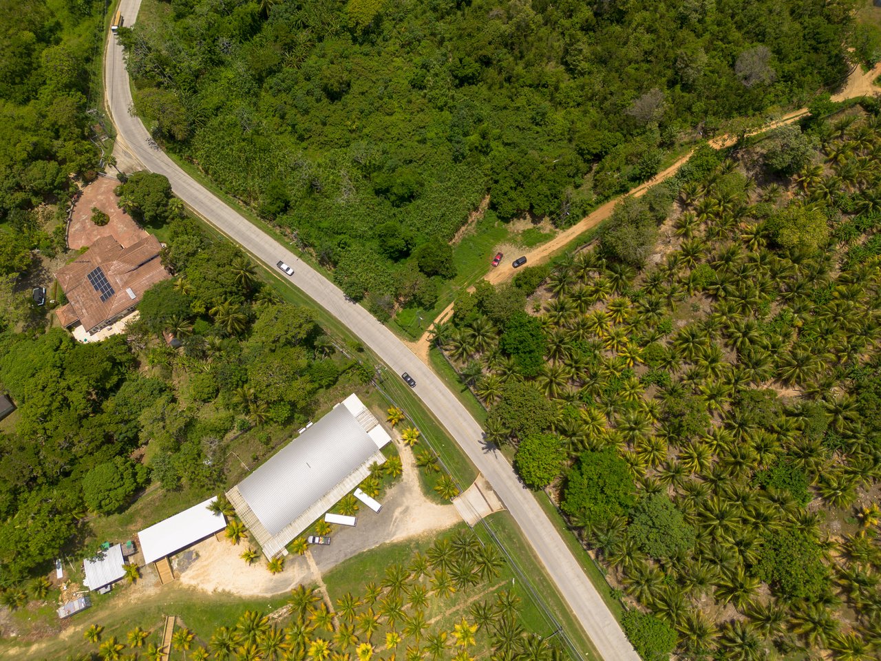 30 Acre Roadfront Gem in French Harbour