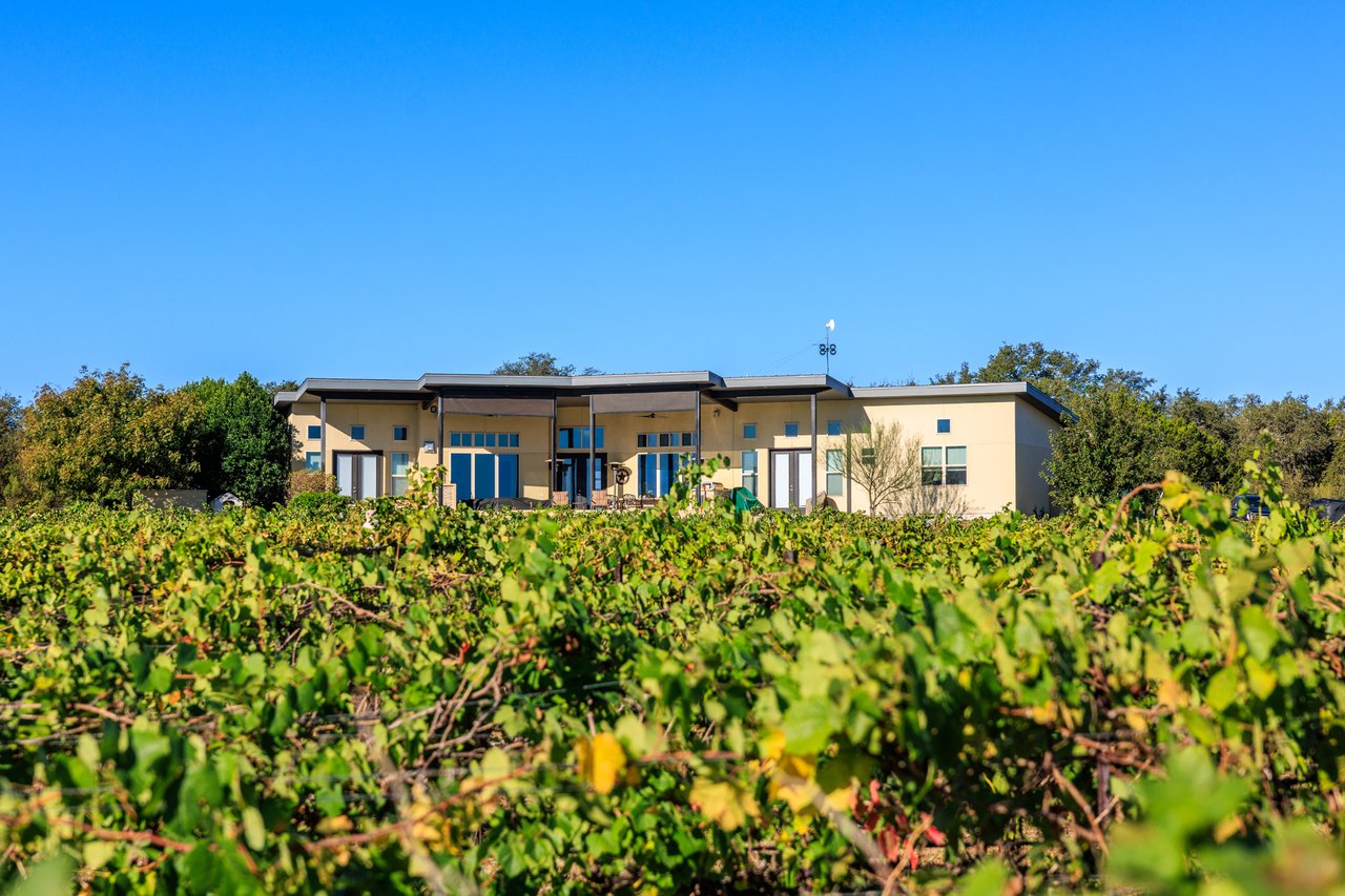 Round Mountain Vineyard