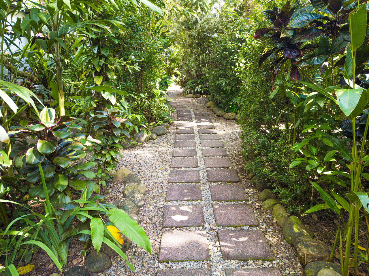 Steps to the beach 14 bedroom Dominical Hotel