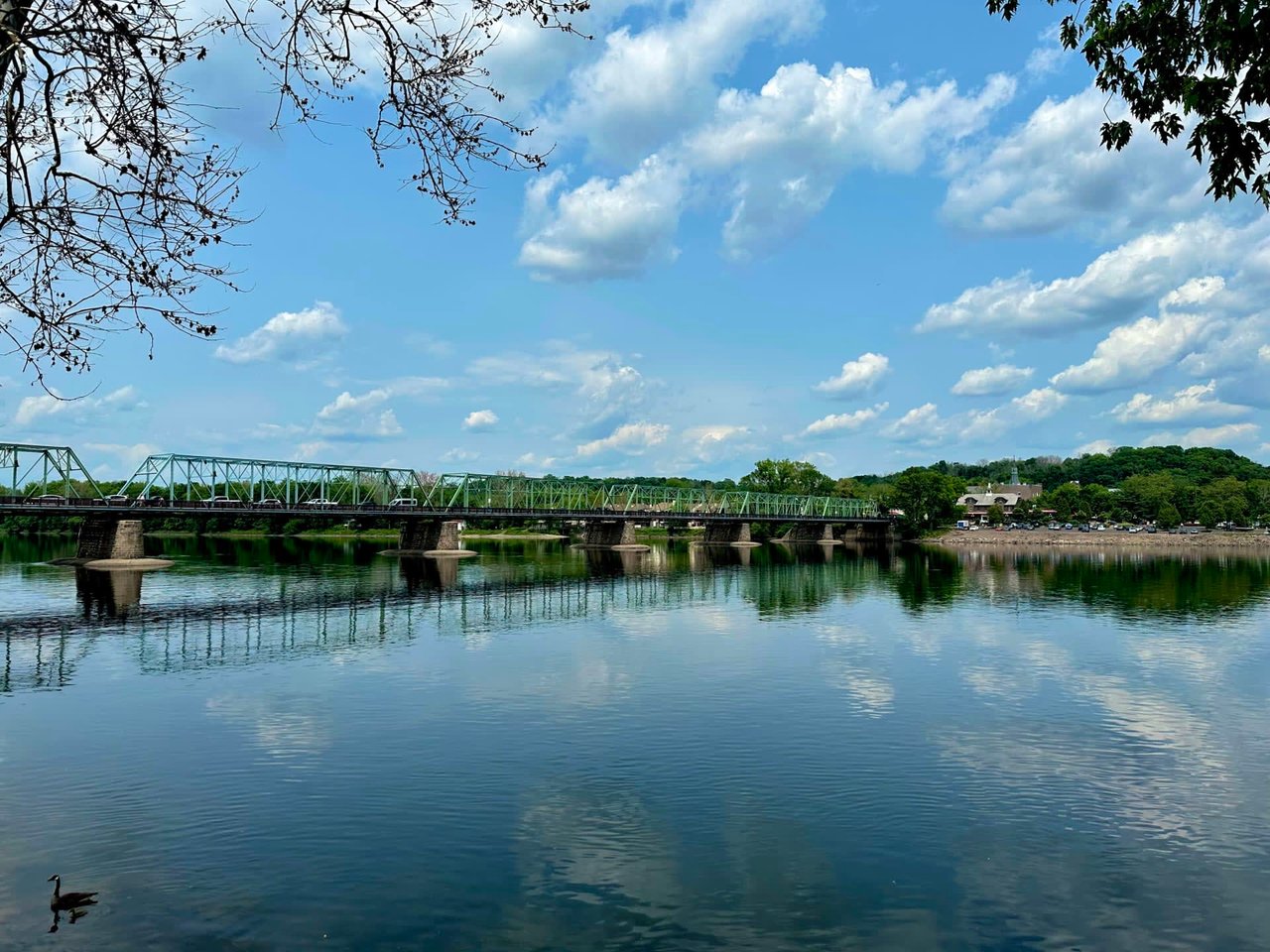 Discover the Enchanting New Hope