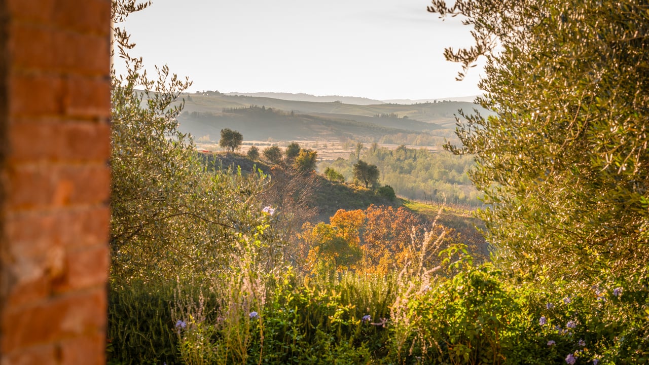 POGGIO COLOMBA