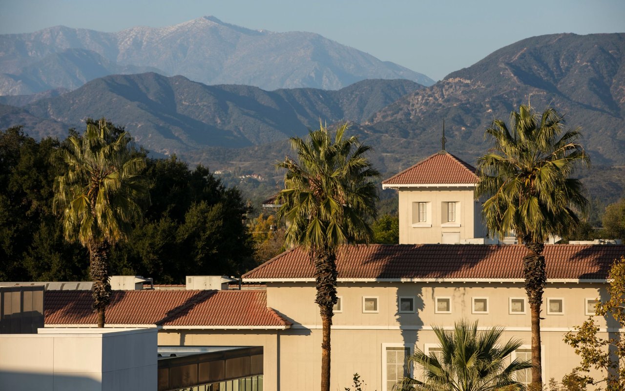 Red tile roofs and palm trees in front of distant mountain ridges.