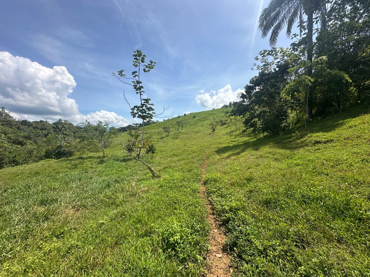 8.78 Acres Mountain View Estate with Water, Infrastructure & Endless Development Potential | Platanillo de Barú, Costa Rica