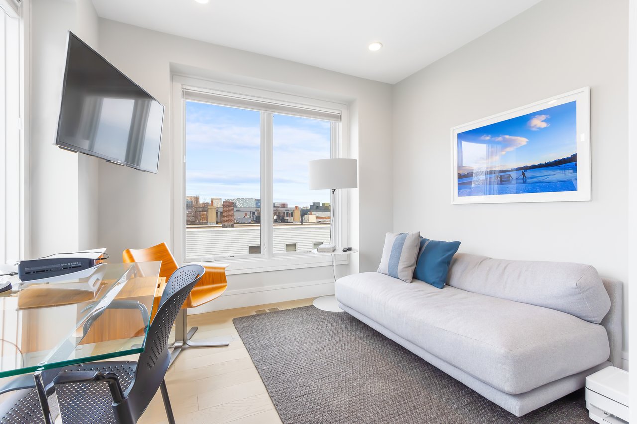 502 E 3rd St # 1, Boston - Luxury Townhome