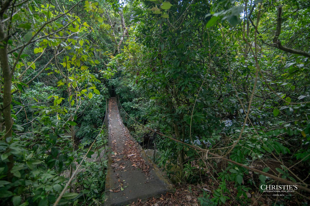Origins Mineral: A Rare Landholding in Guanacaste’s Volcanic Highlands