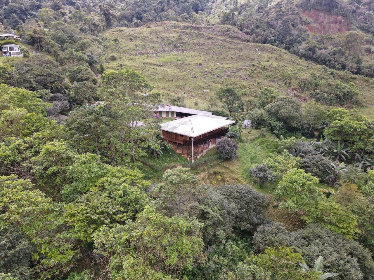 Sustainable Organic Mountain Farm, Perez Zeledon, San Jose