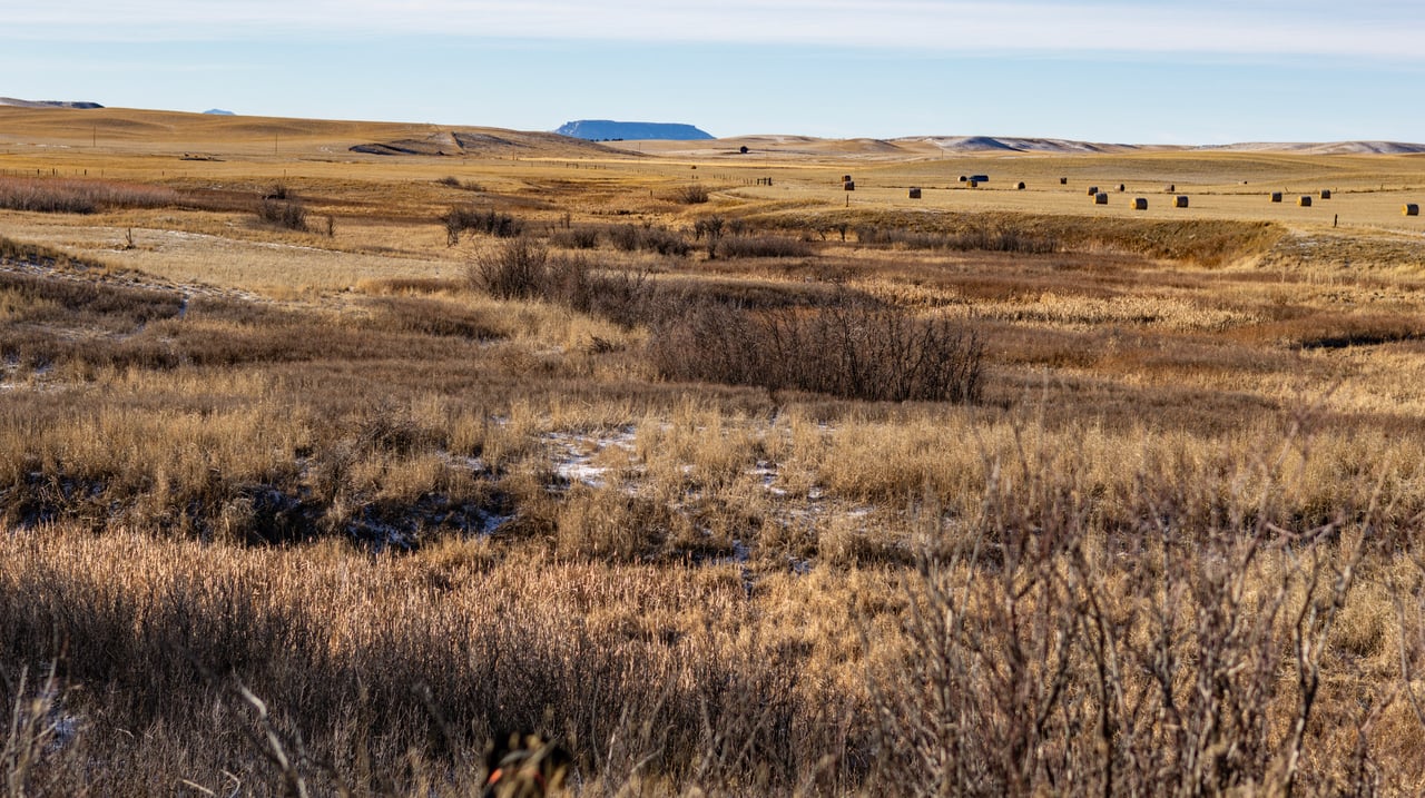 Blood Coulee Ranch