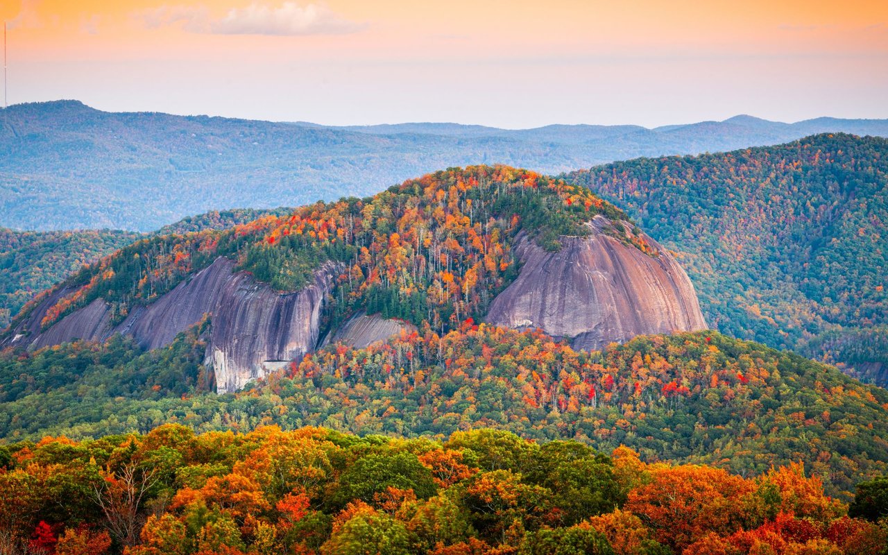 Pisgah Forest