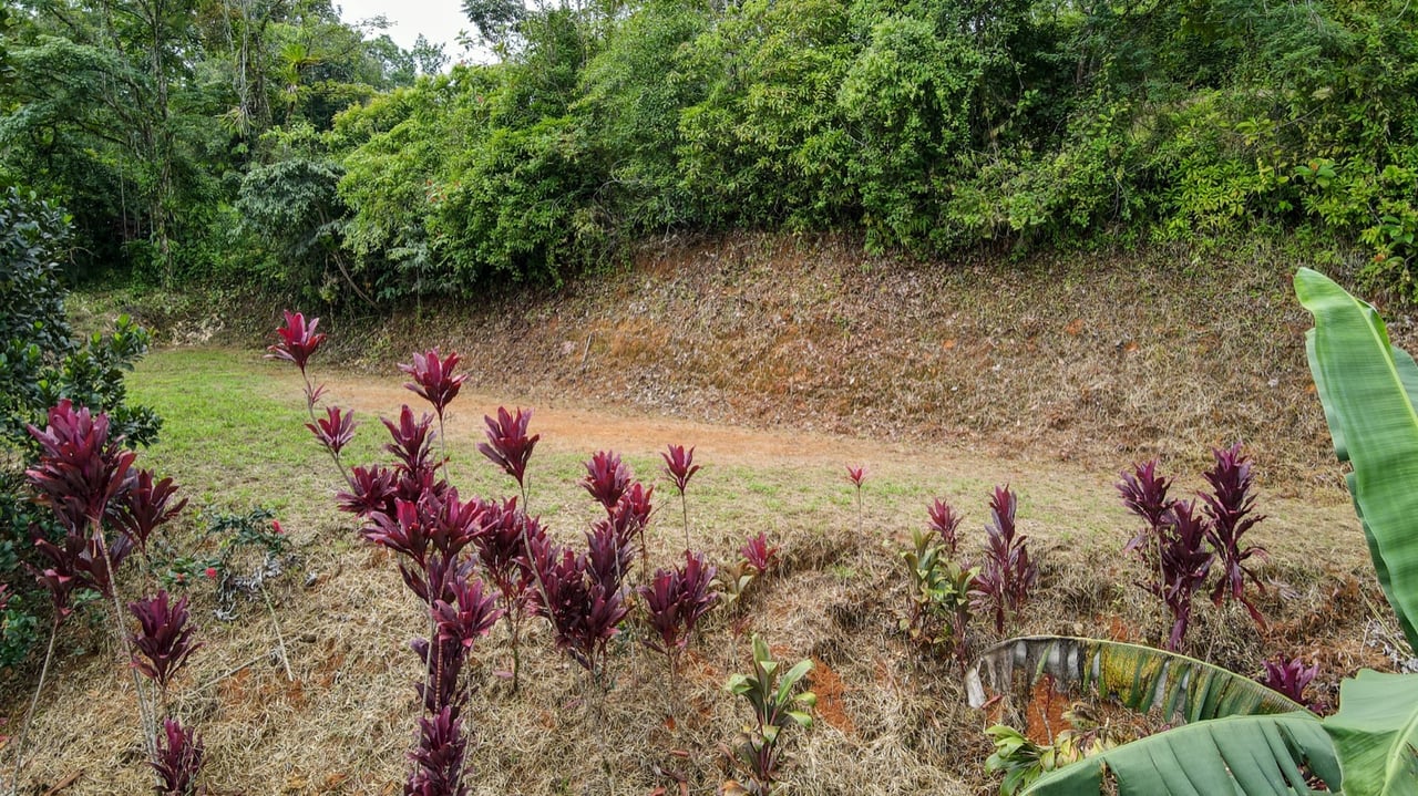 Scenic 2.53 Acres in Fila Cacao Ridge – Build-Ready Lot with Legal Water in Platanillo!