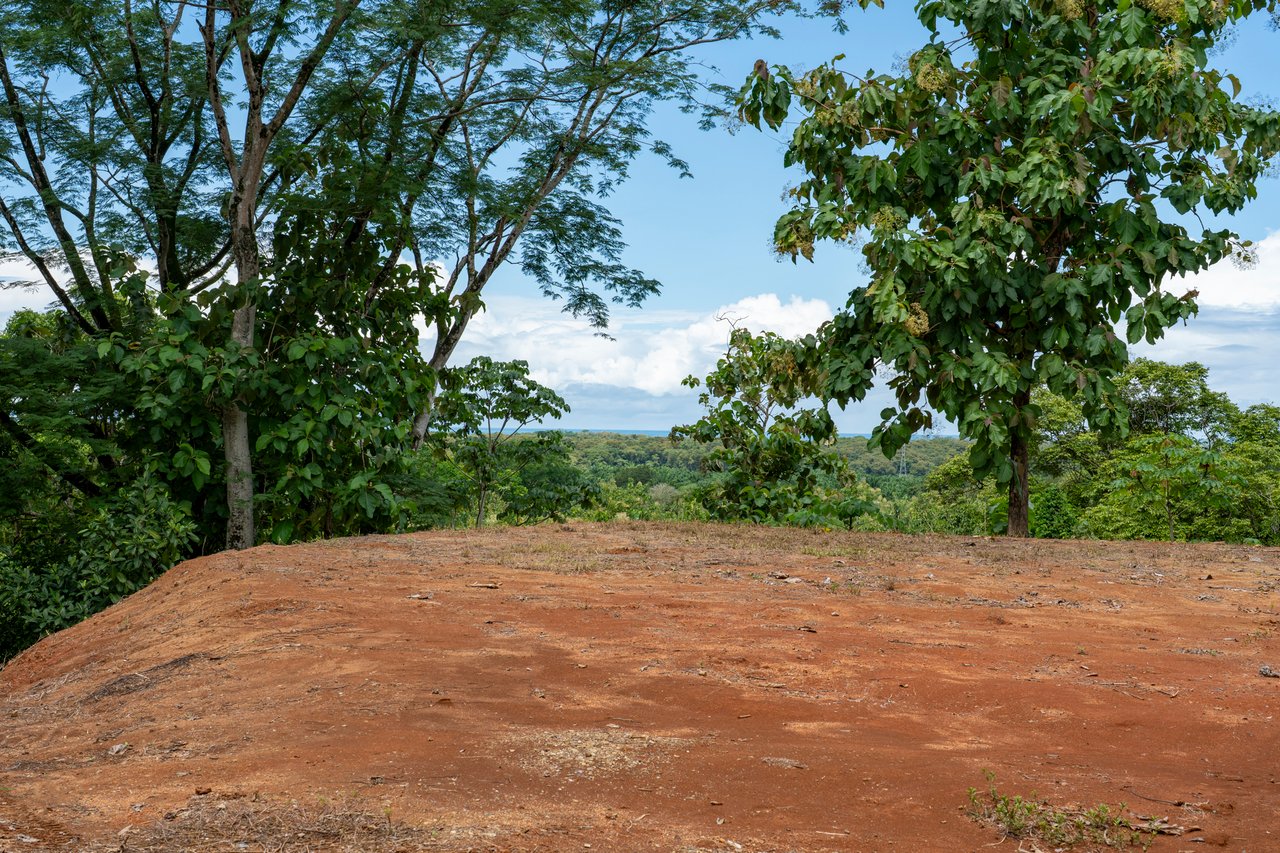 ¡New Gated Development in Matapalo - Ocean View and Flat Land, ready to build!