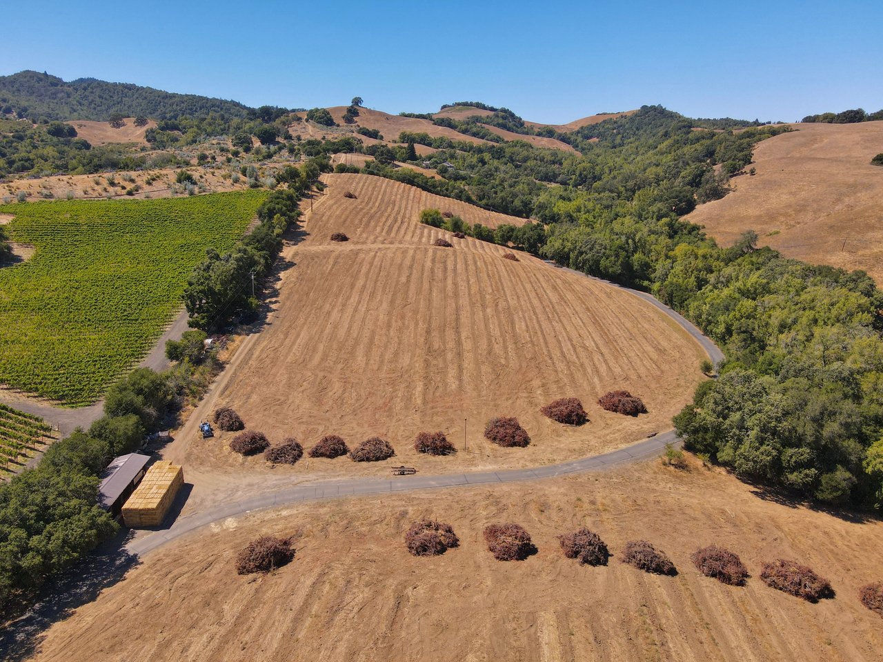 Tambor Vineyard Estate