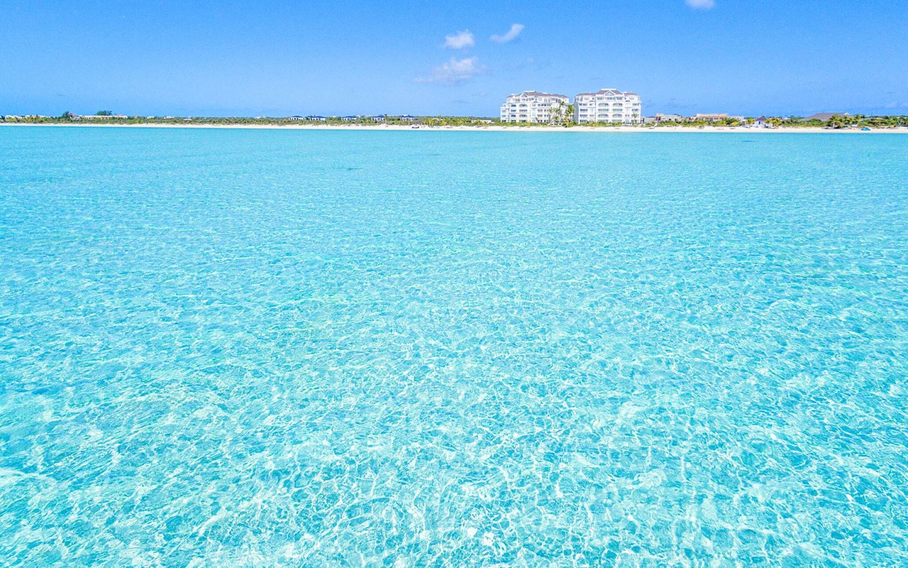 The Shore Club