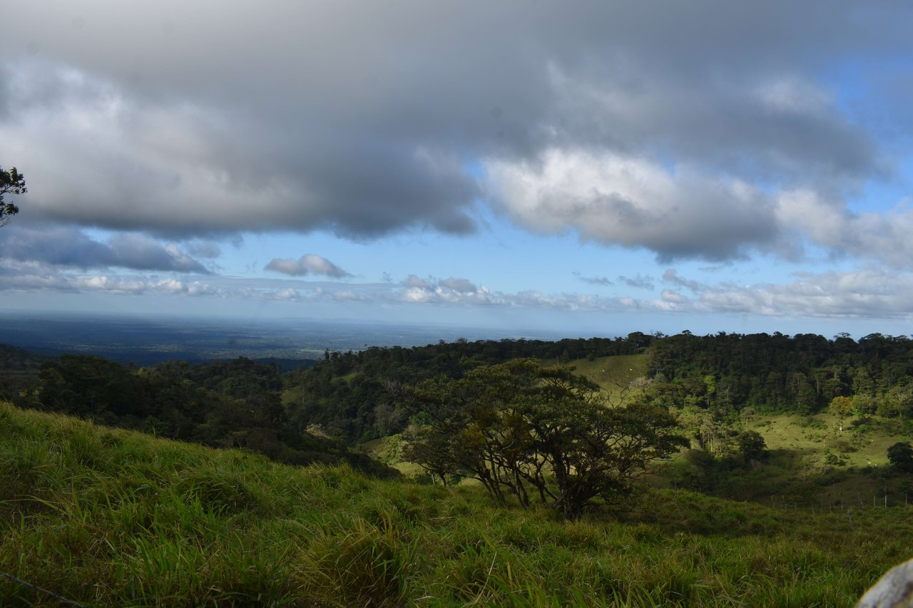 Colina del Tapir | Experience breathtaking views of Lake Nicaragua, with the majestic Concepcion Volcano against the backdrop of Ometepe Island!