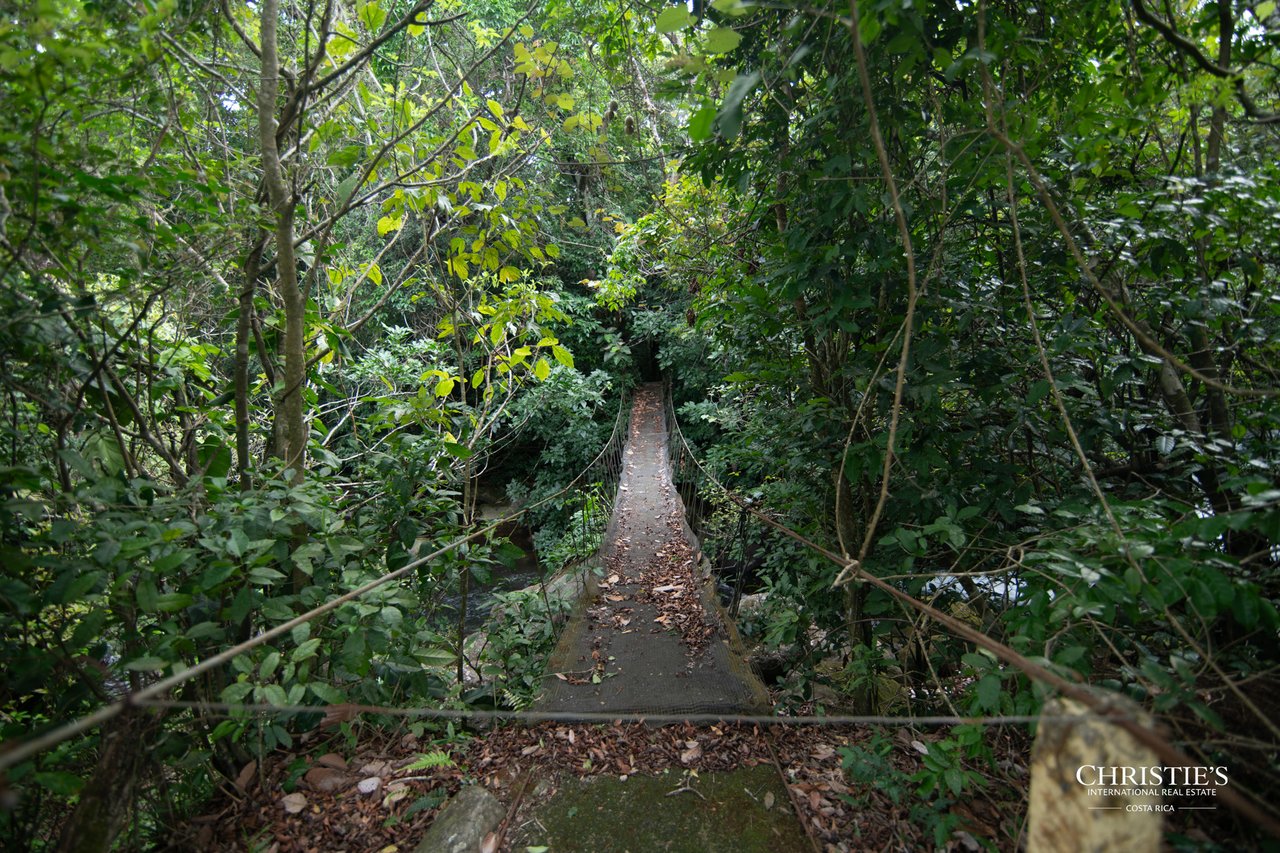 Origins Mineral: A Rare Landholding in Guanacaste’s Volcanic Highlands