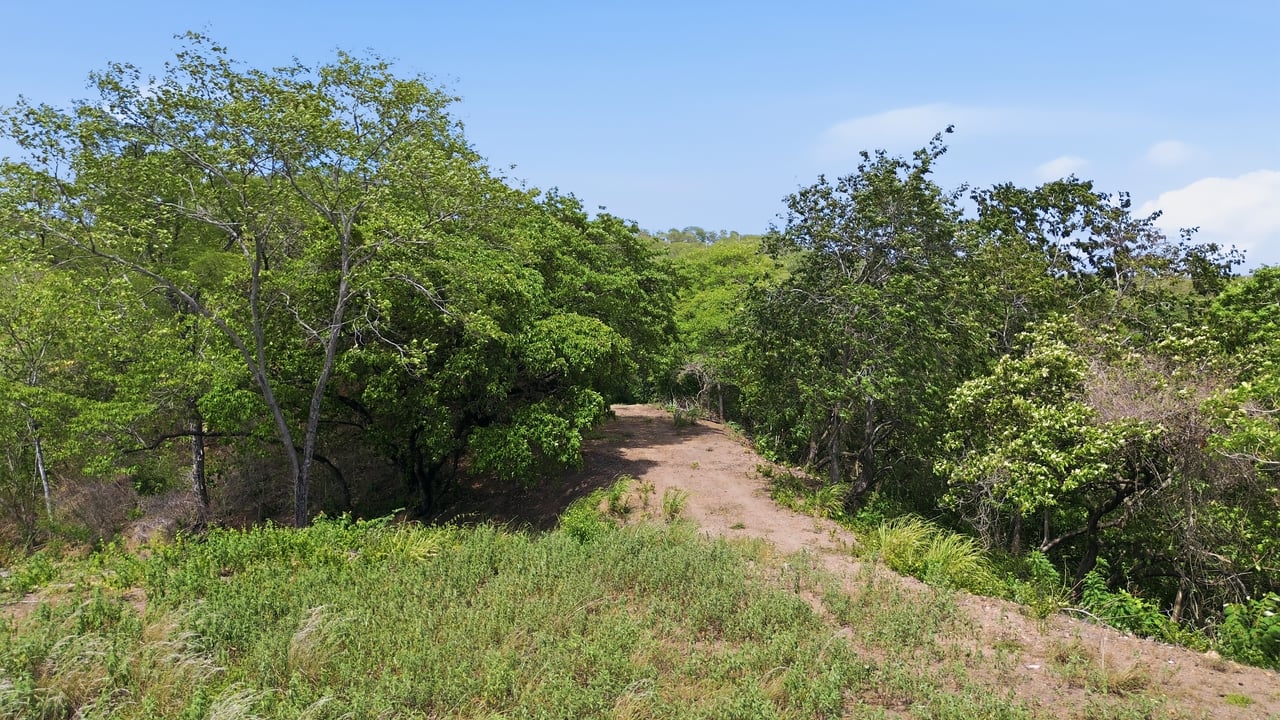 Development Parcel - Valley views - Matapalo