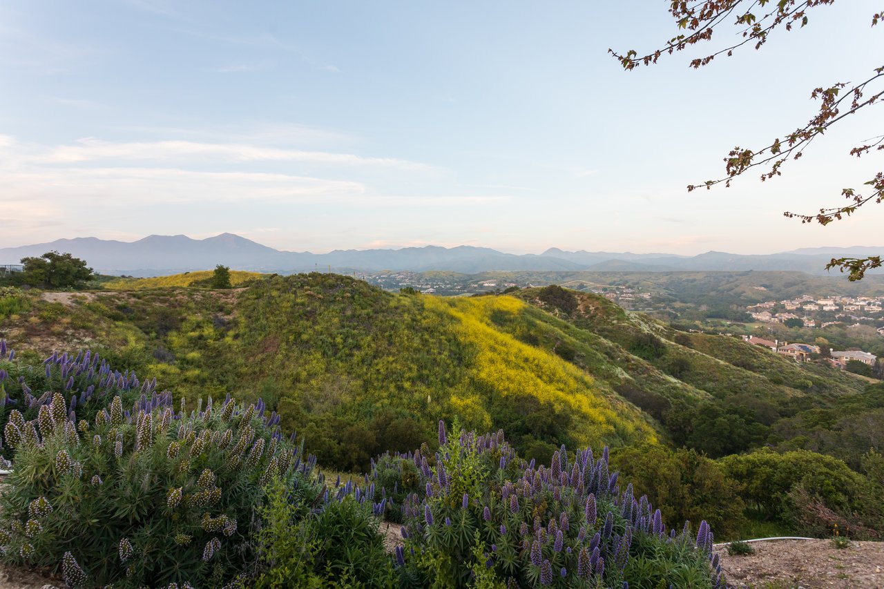 48 Panorama