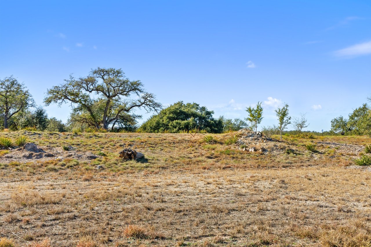 12901 Flowering Senna Bend