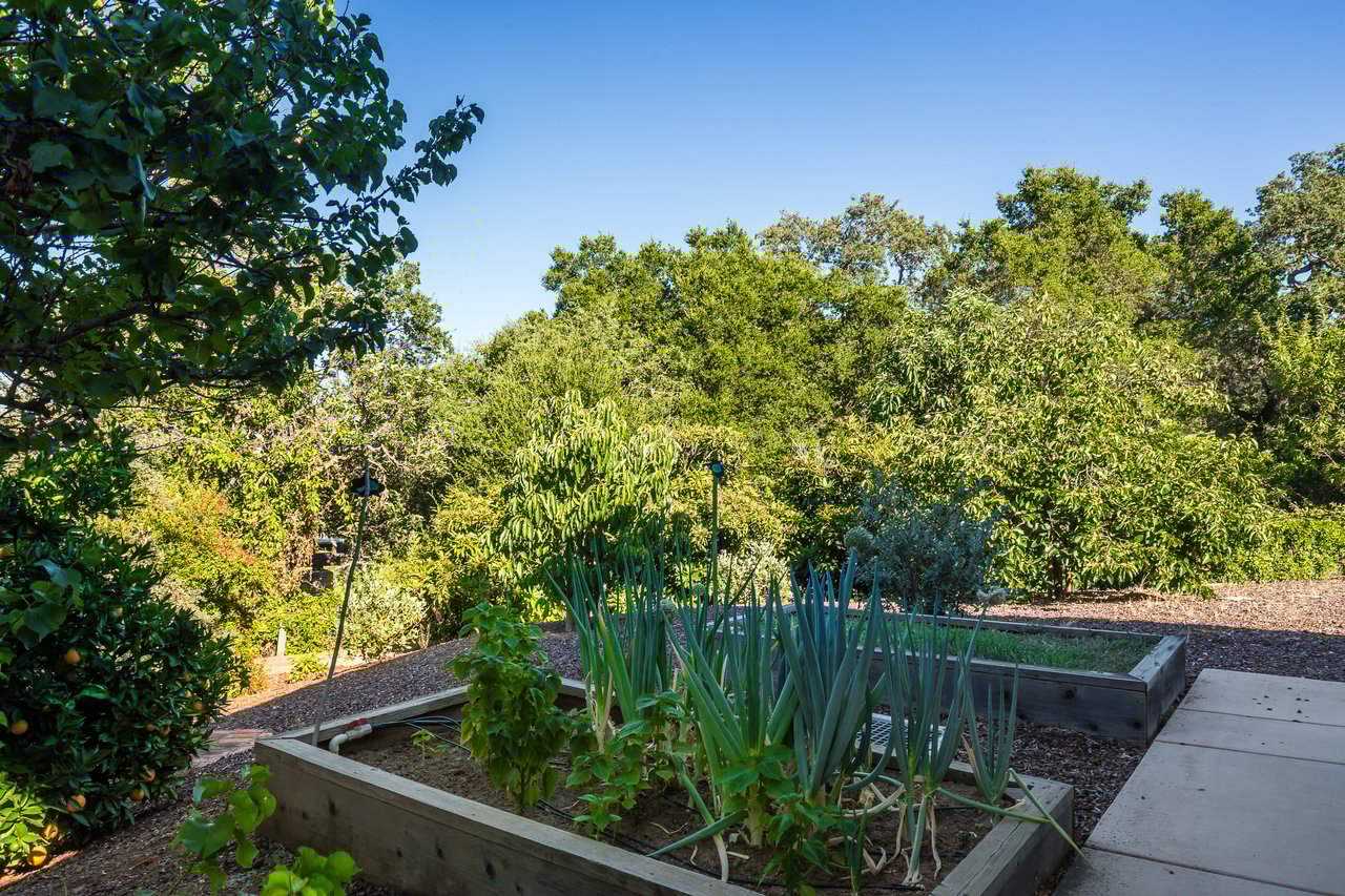 Palo Alto Hills Estate