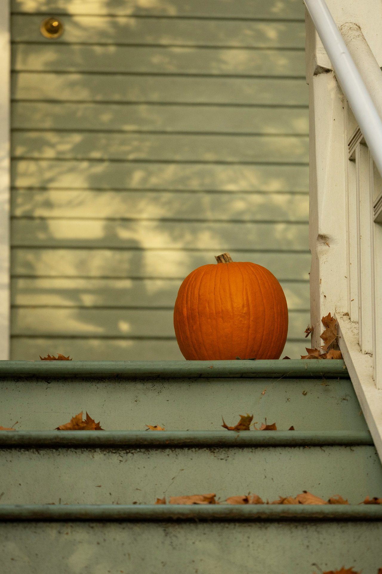 October in Southwest Montana