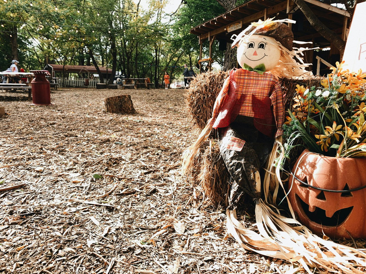 Smiling scarecrow beside hay bales, autumn flowers, and a carved pumpkin at an outdoor fall display.