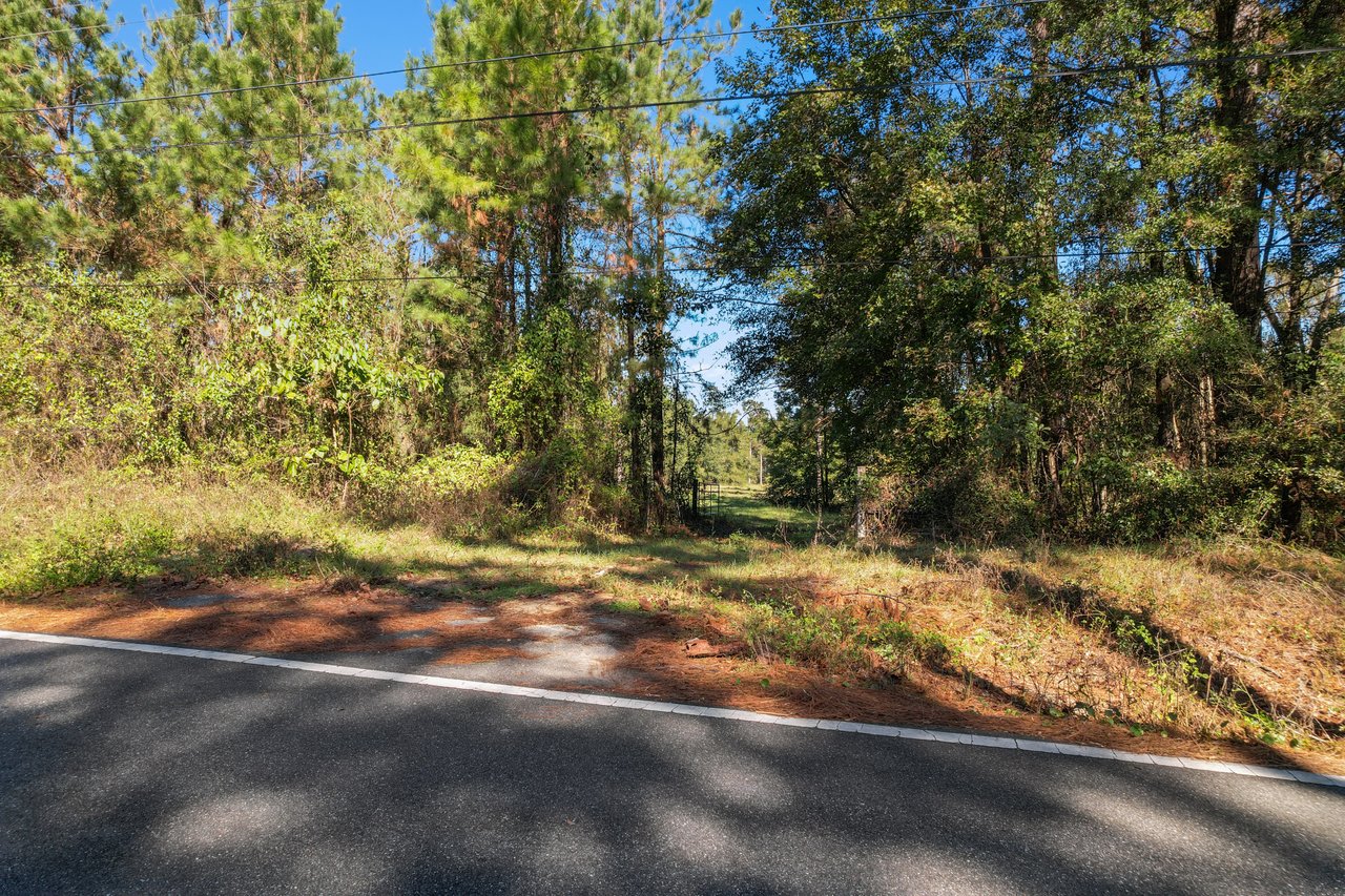 A forest edge with a narrow path disappears into dense trees, under a sunny, clear blue sky. A paved road with white lines is in the foreground.A forest edge with a narrow path disappears into dense trees, under a sunny, clear blue sky. A paved road with white lines is in the foreground.