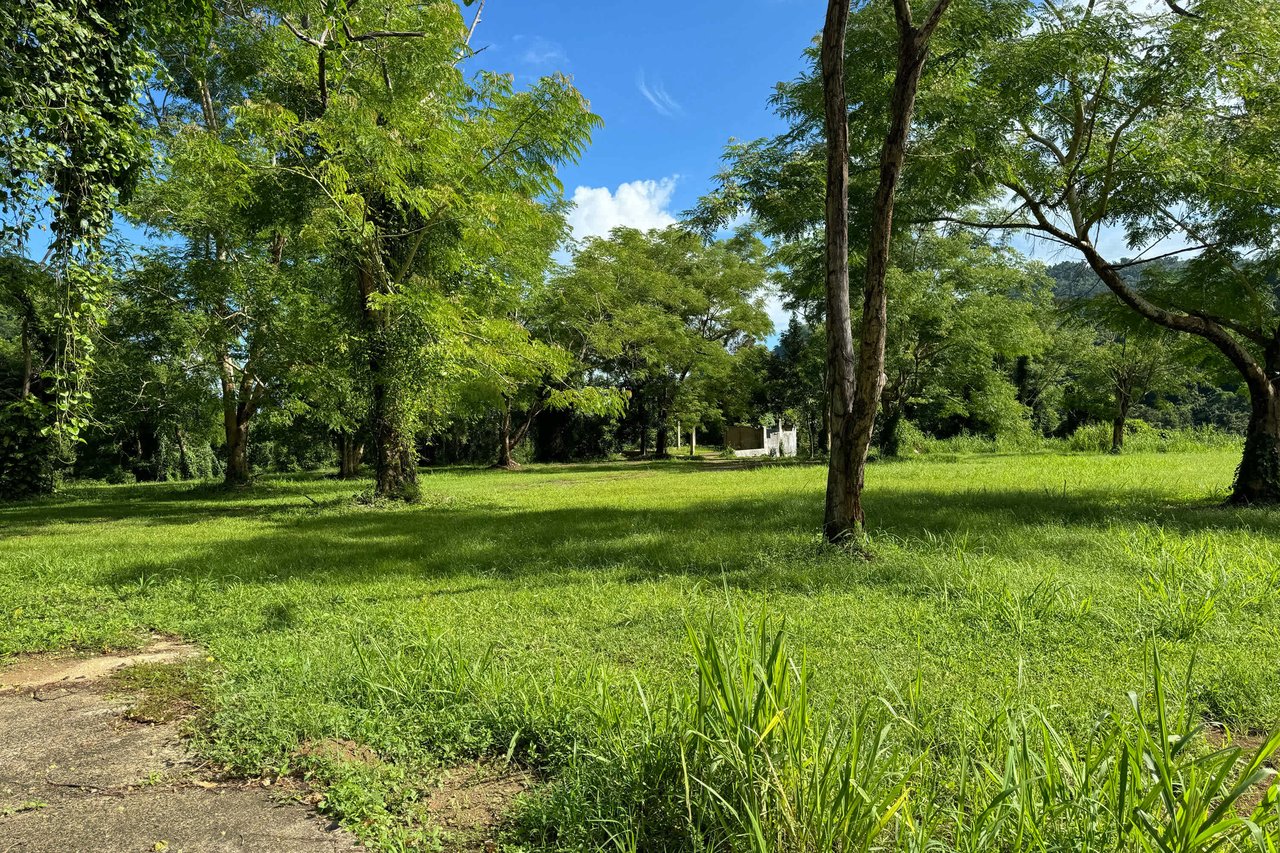 MonteCielo Riverfront Property