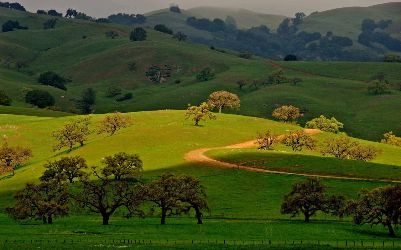 Gilroy