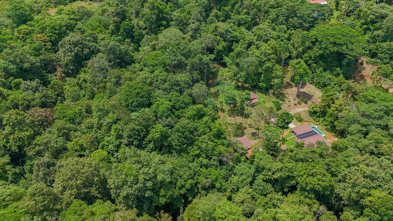 Jungle Home with Riverfront and Orchard in Ojochal Costa Rica