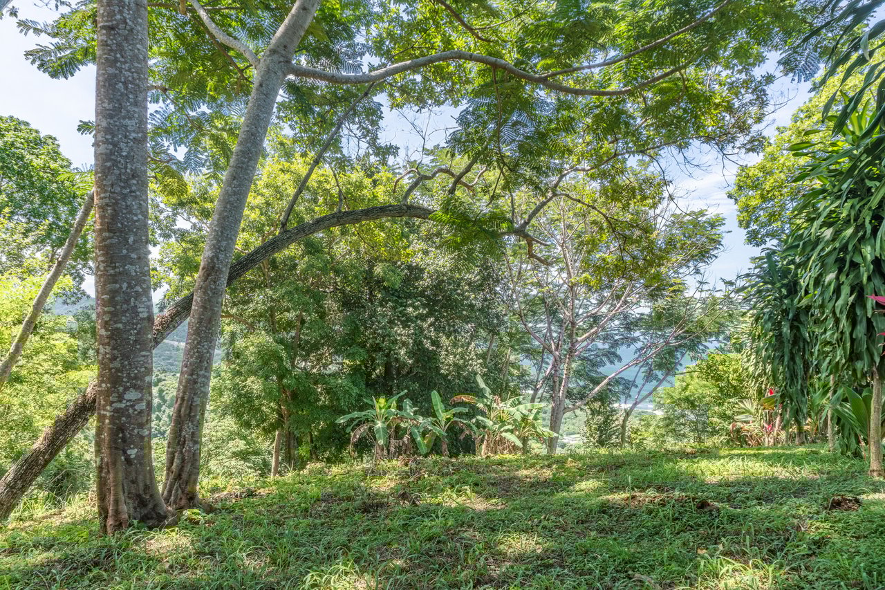 La Reserva Camaronal Lot 34